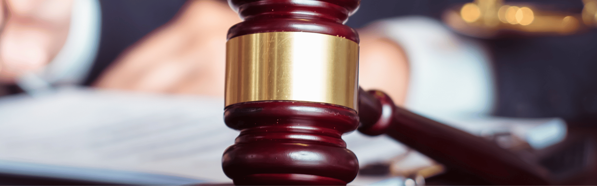 Estancia por Estudios - Esmera School