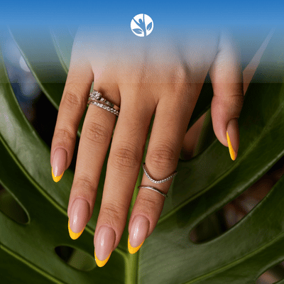 Imagen del curso Tecnicas Basicas de Decoración